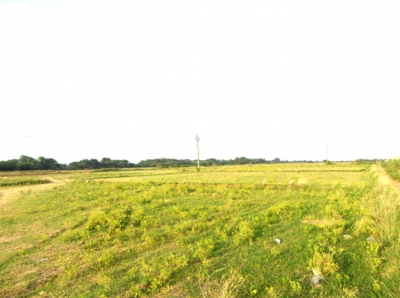 6) Li Id 222 - Pic 7.JPG
